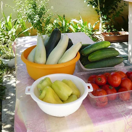 In Near Stunning Beaches Daire Privlaka (Zadar)